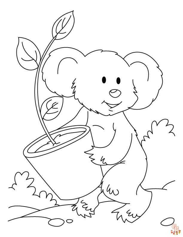 coloriage Koala