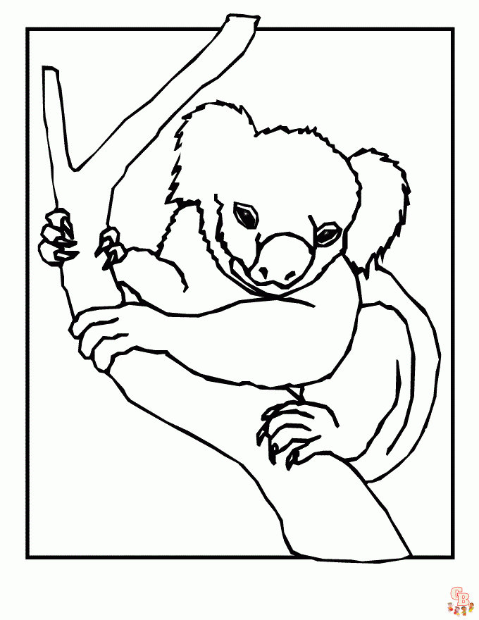 coloriage Koala