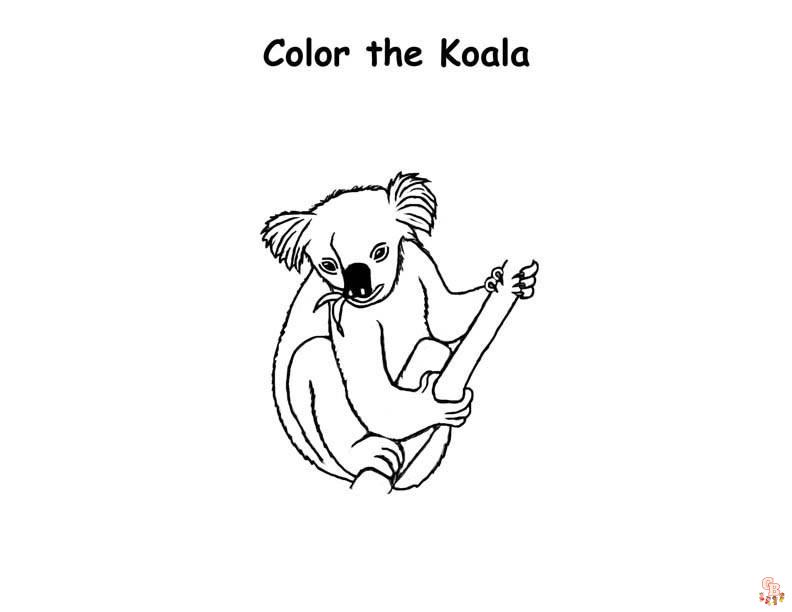 coloriage Koala