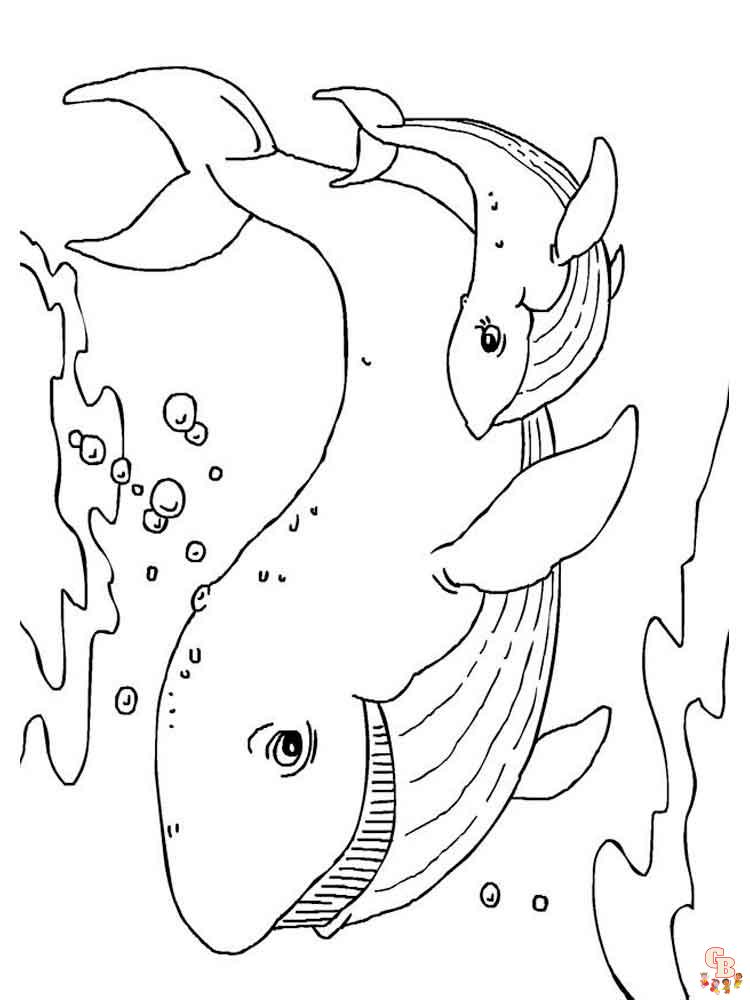 coloriage baleines