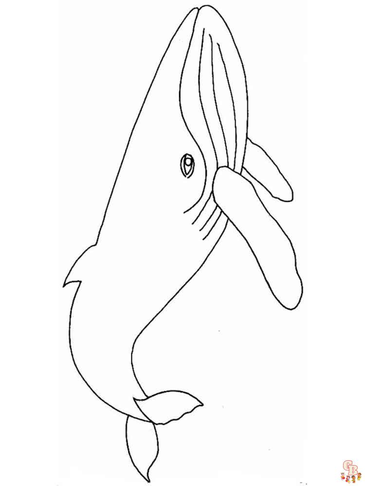 coloriage baleines