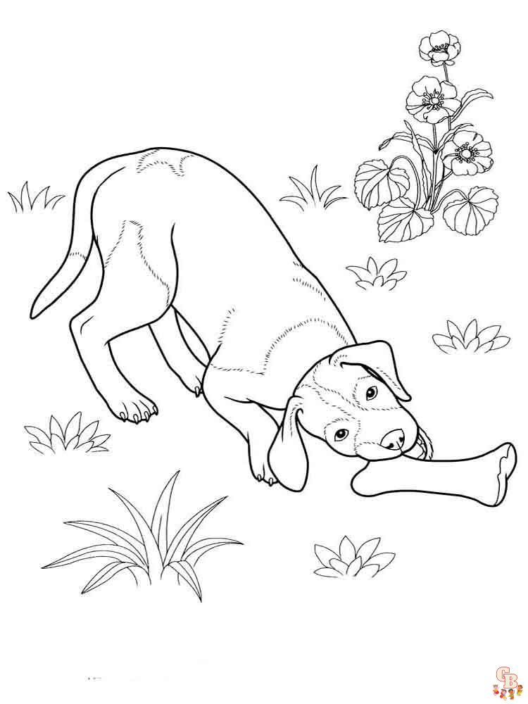 coloriage chiens