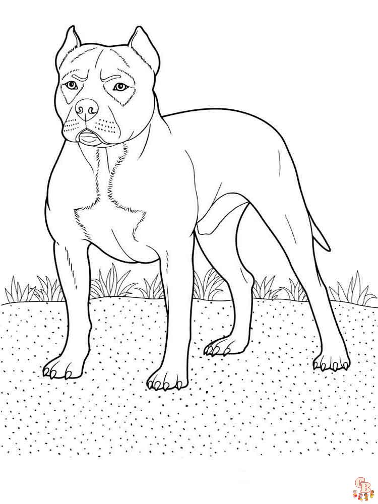 coloriage chiens