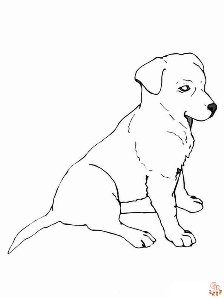 coloriage chiens