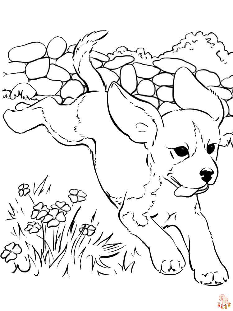 coloriage chiens