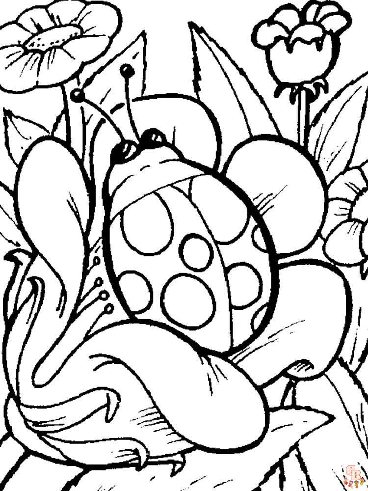 coloriage coccinelles