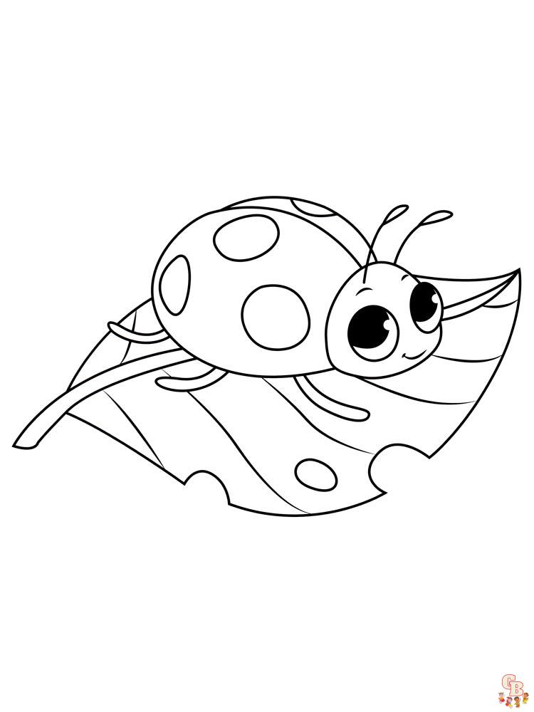 coloriage coccinelles