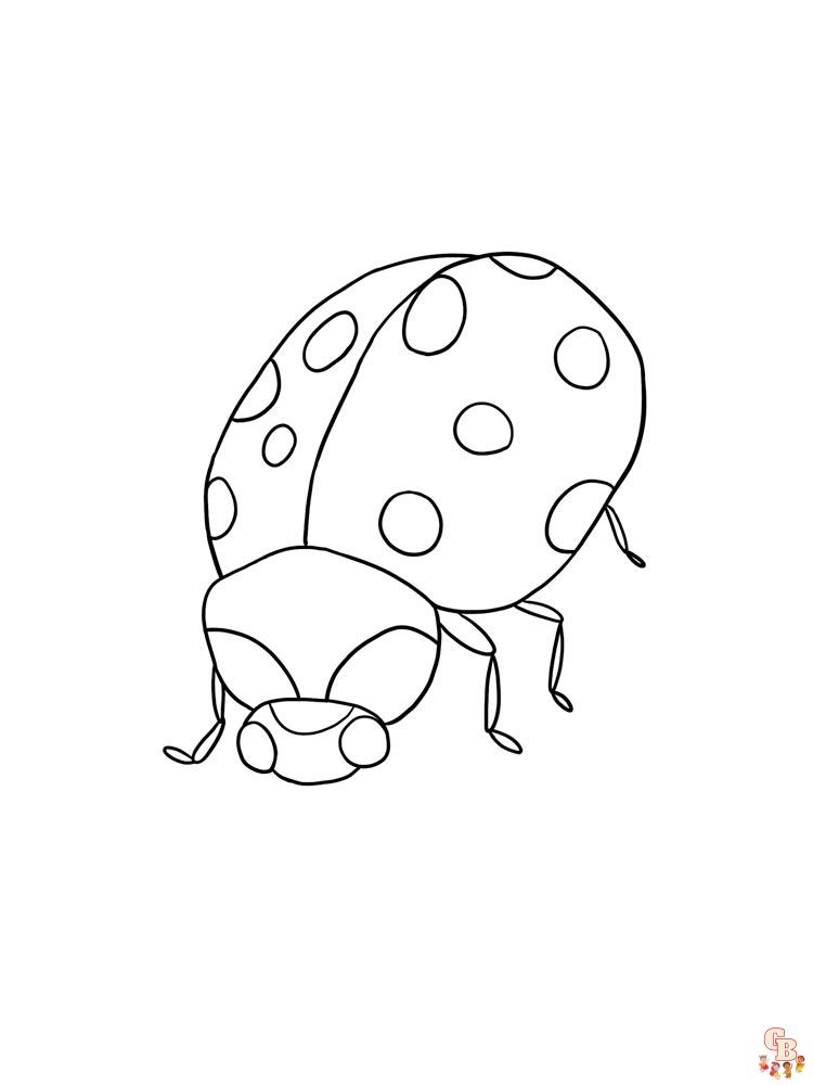 coloriage coccinelles