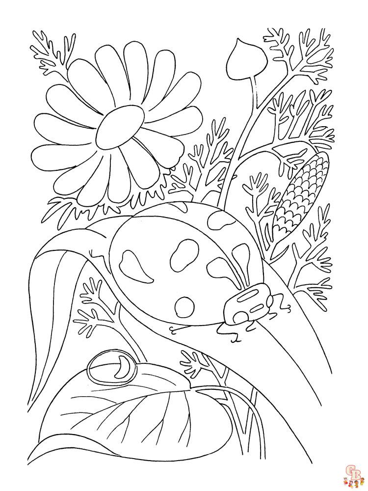 coloriage coccinelles