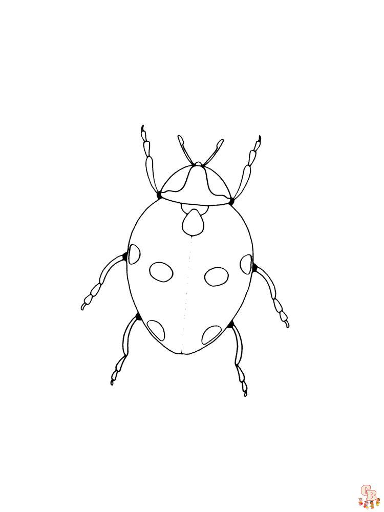 coloriage coccinelles