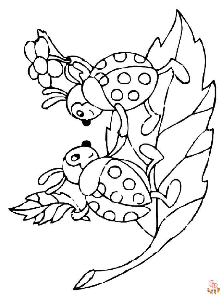 coloriage coccinelles