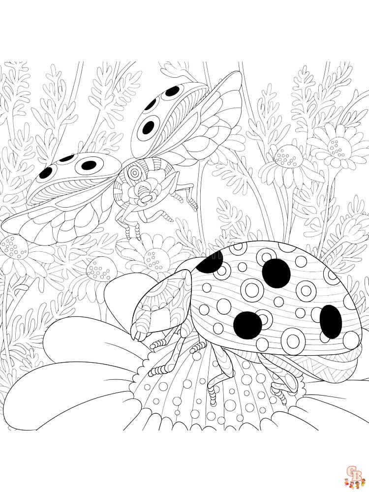 coloriage coccinelles