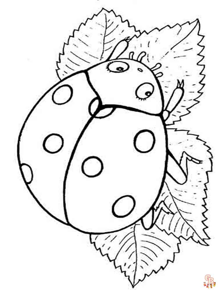 coloriage coccinelles