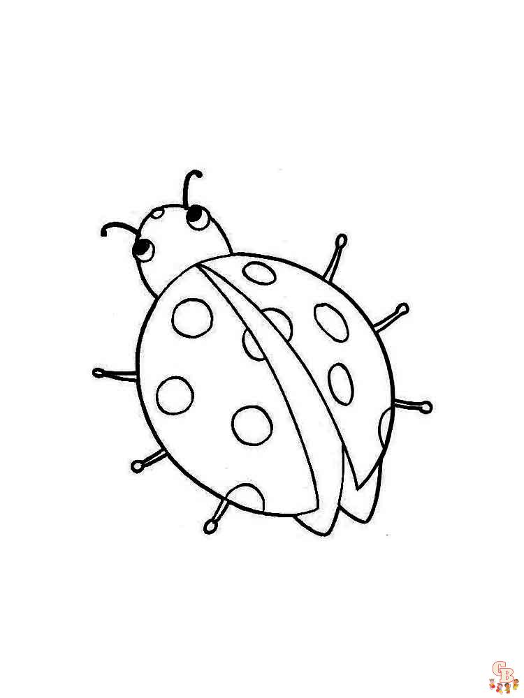 coloriage coccinelles