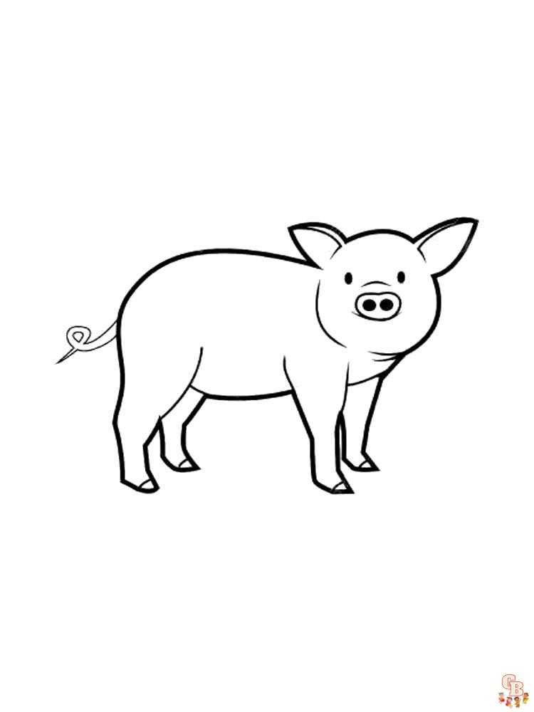 coloriage cochon