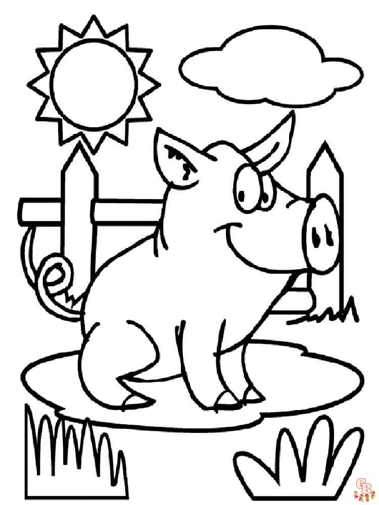 coloriage cochon