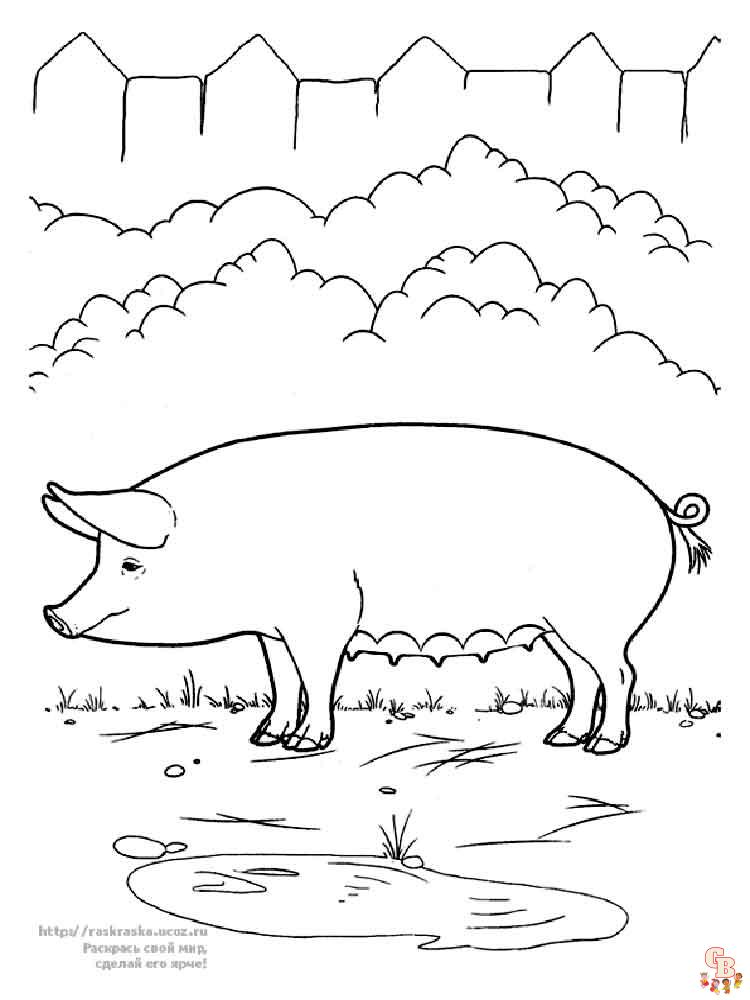 coloriage cochon