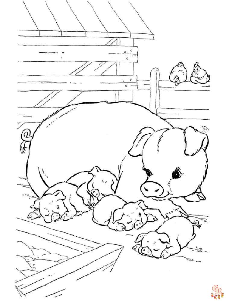 coloriage cochon