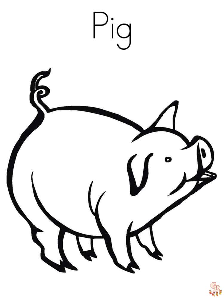 coloriage cochon