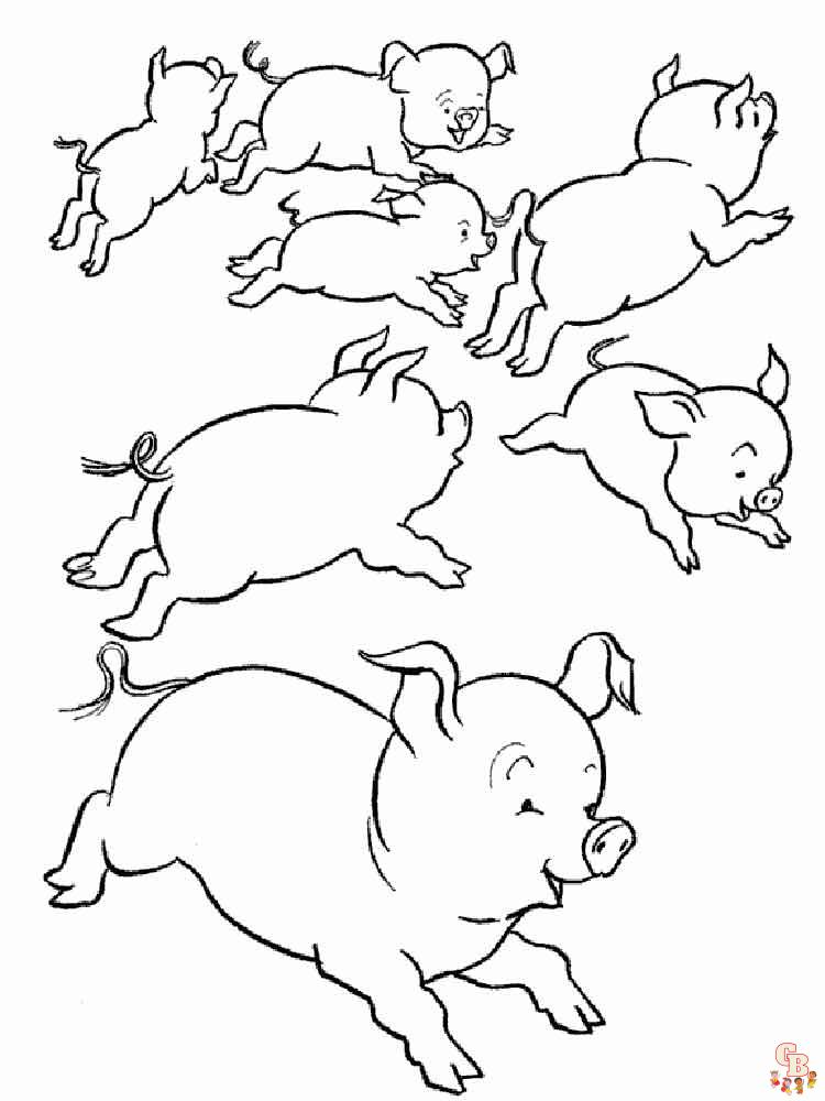 coloriage cochon