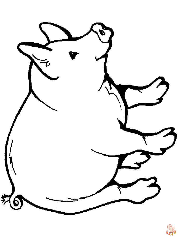 coloriage cochon