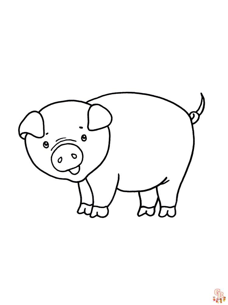 coloriage cochon