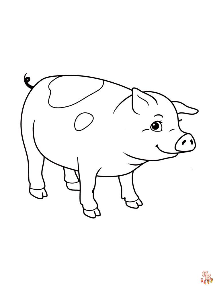 coloriage cochon