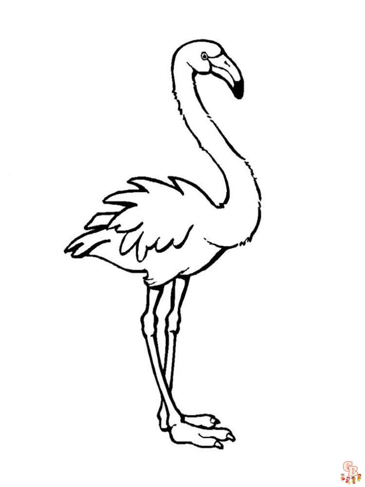 coloriage flamants