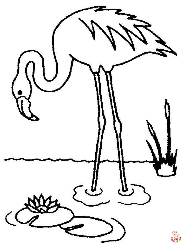 coloriage flamants