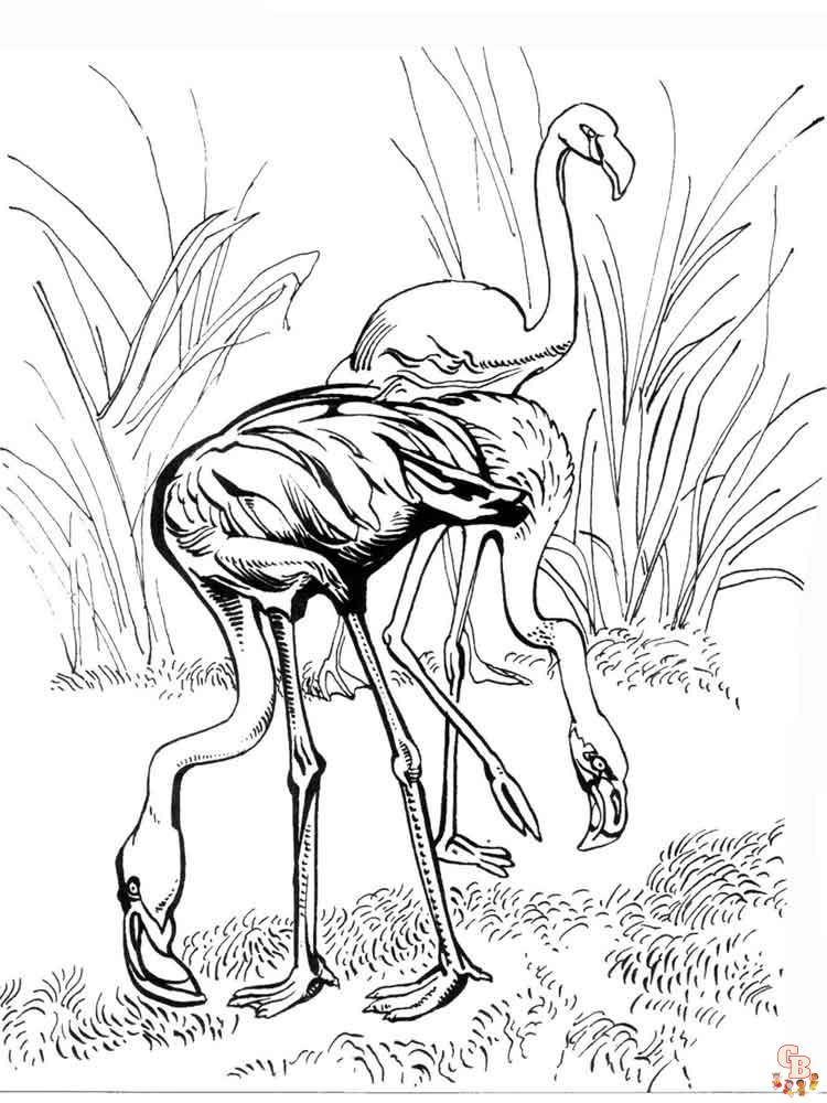 coloriage flamants