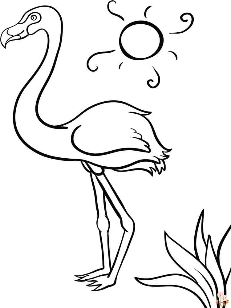 coloriage flamants