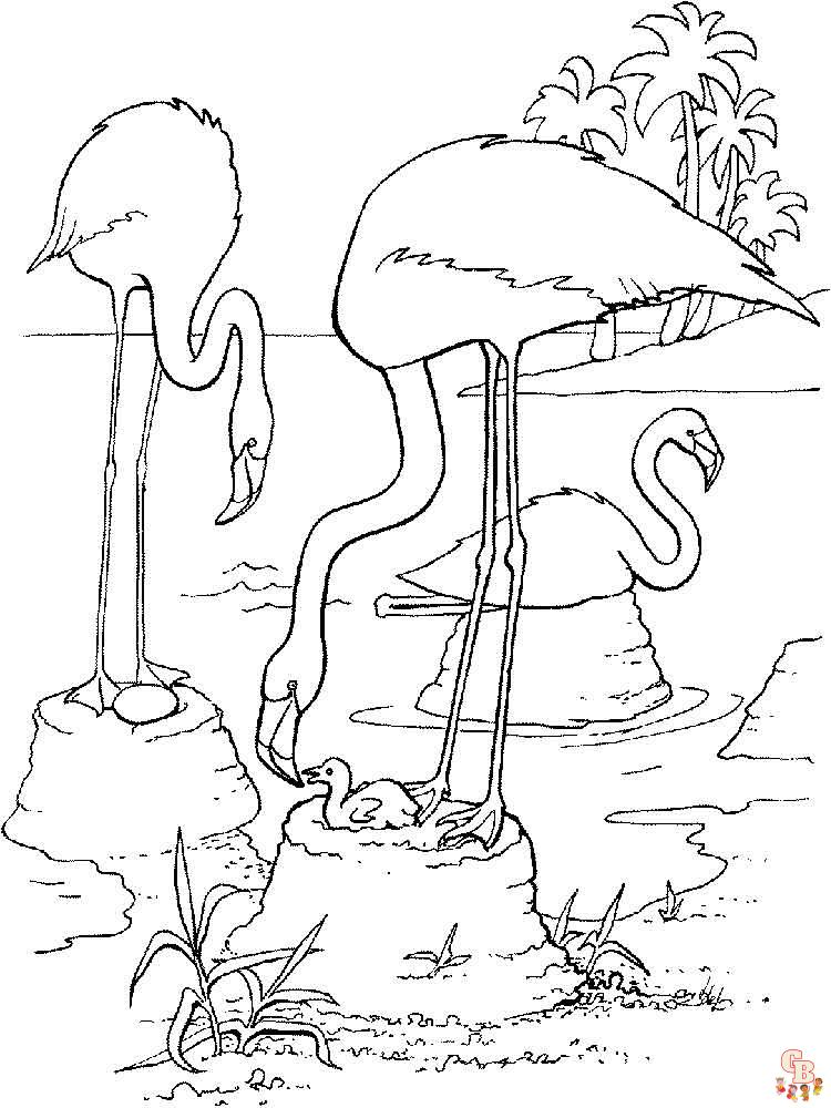 coloriage flamants