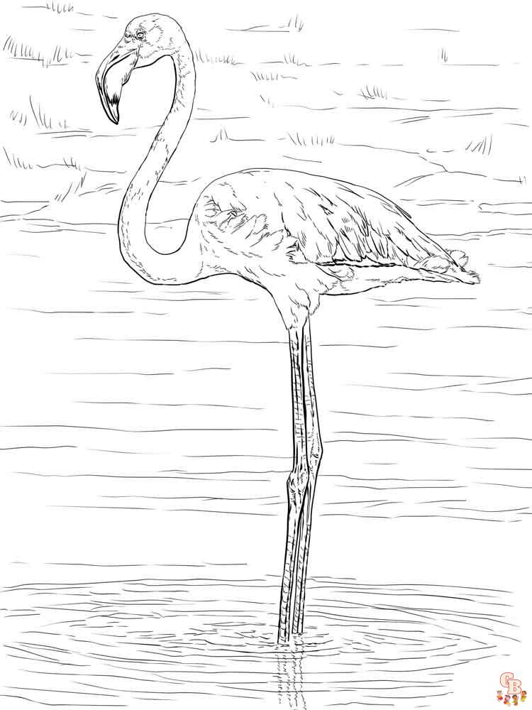 coloriage flamants