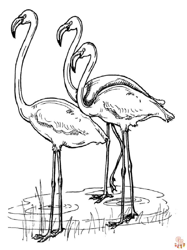 coloriage flamants