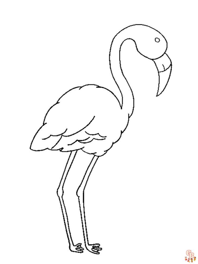 coloriage flamants