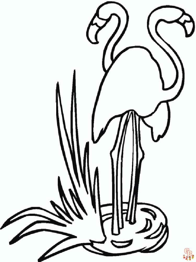 coloriage flamants