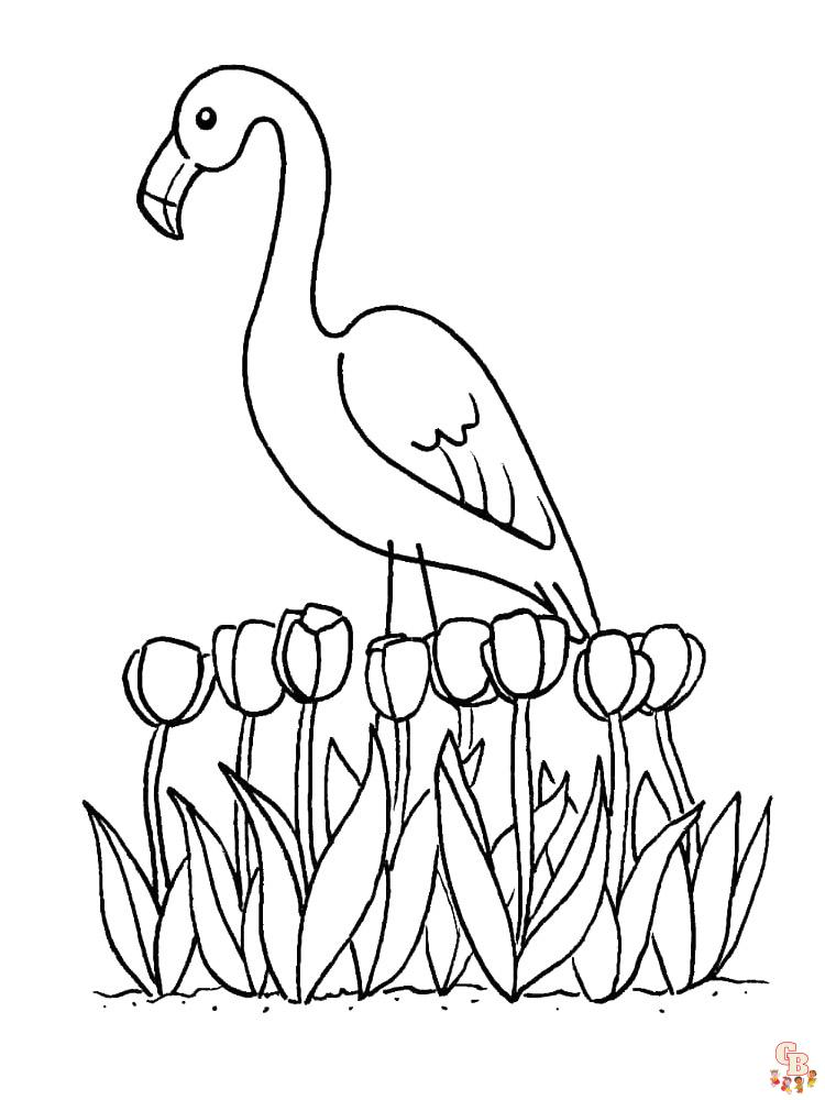 coloriage flamants