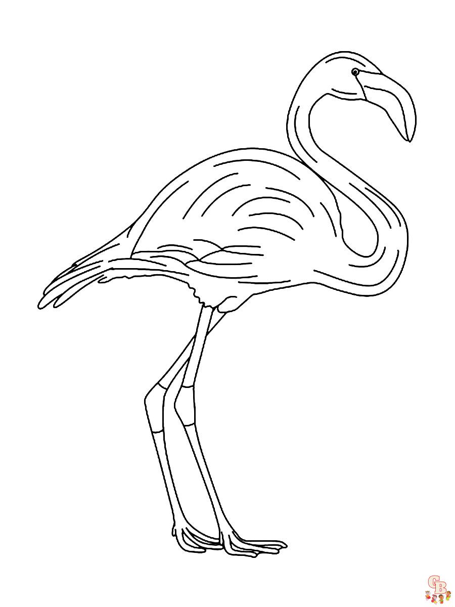 coloriage flamants