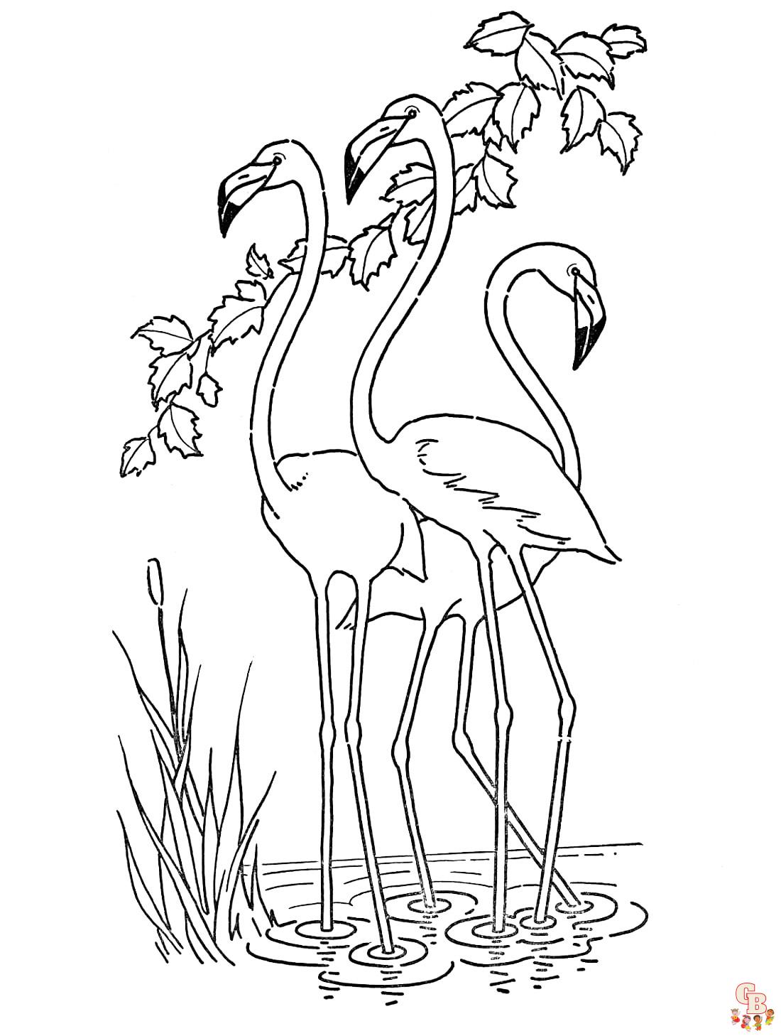 coloriage flamants