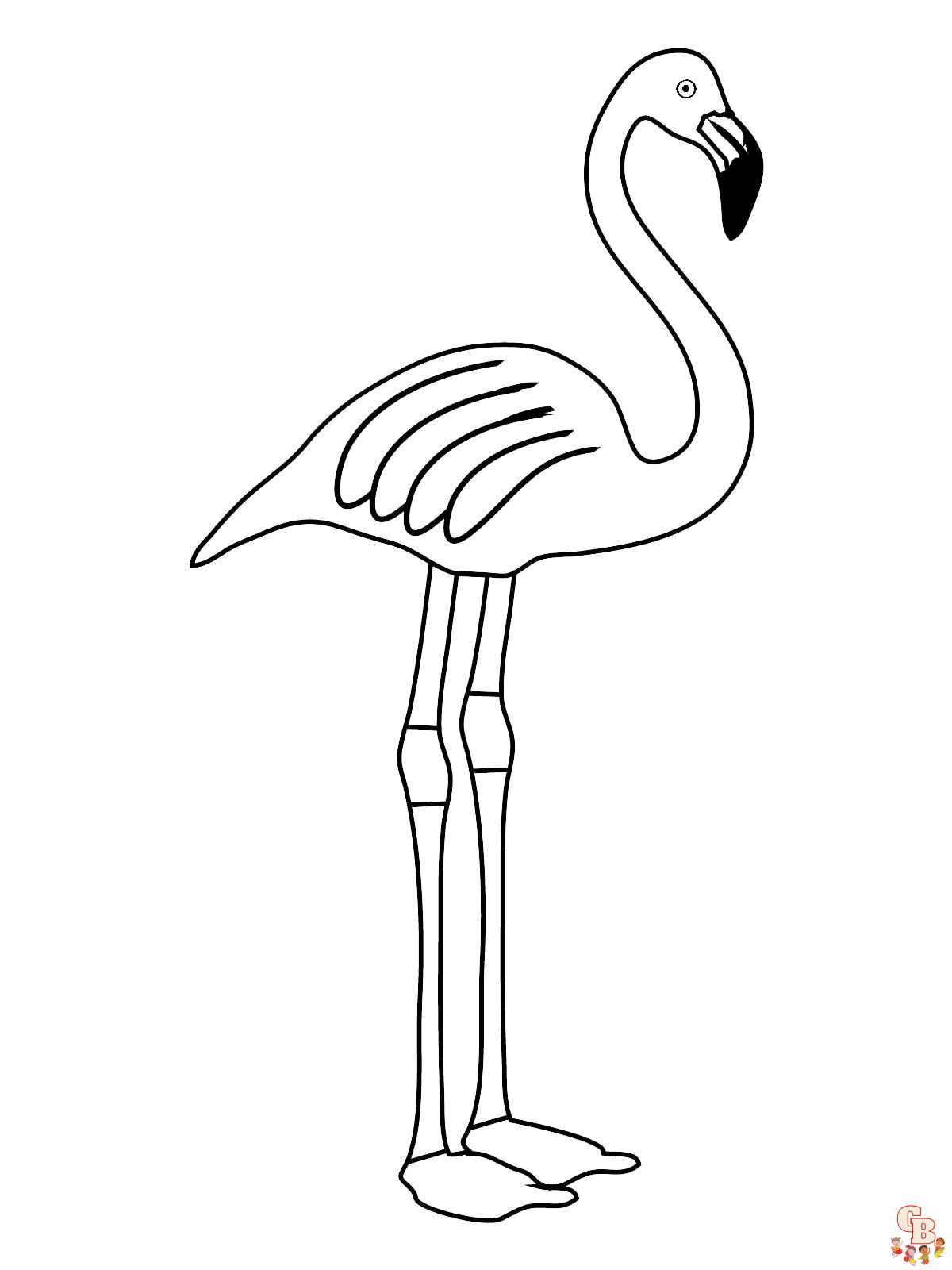 coloriage flamants