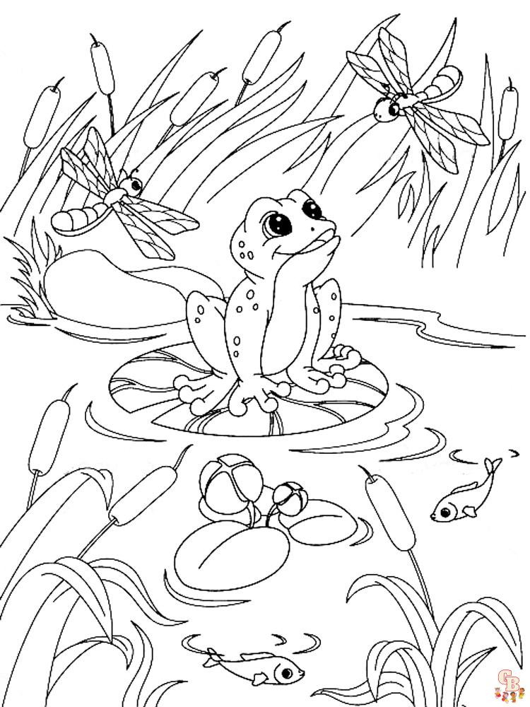 coloriage grenouilles