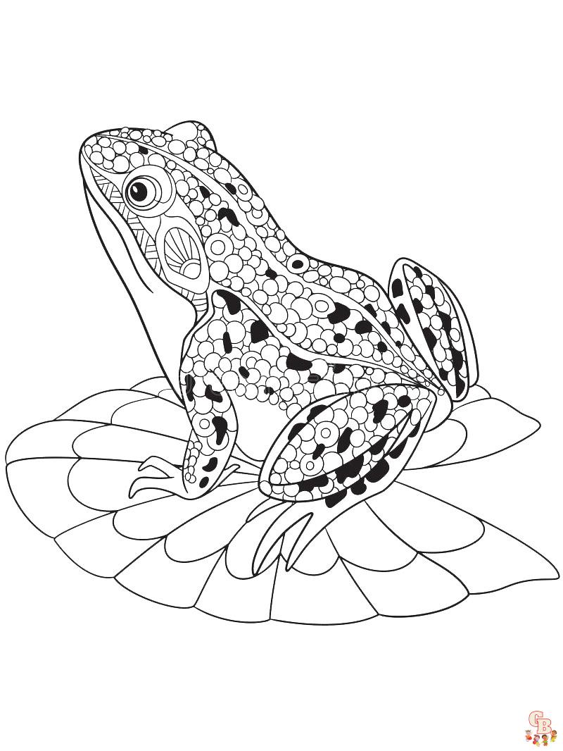 coloriage grenouilles