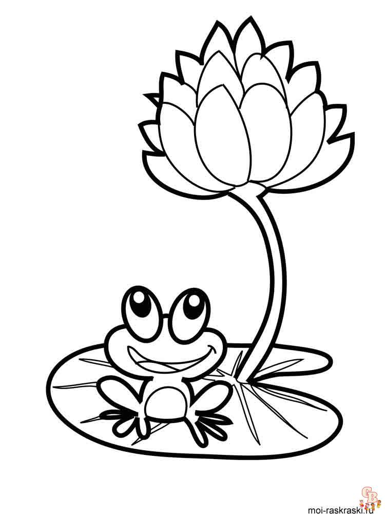 coloriage grenouilles