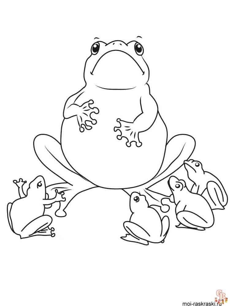 coloriage grenouilles