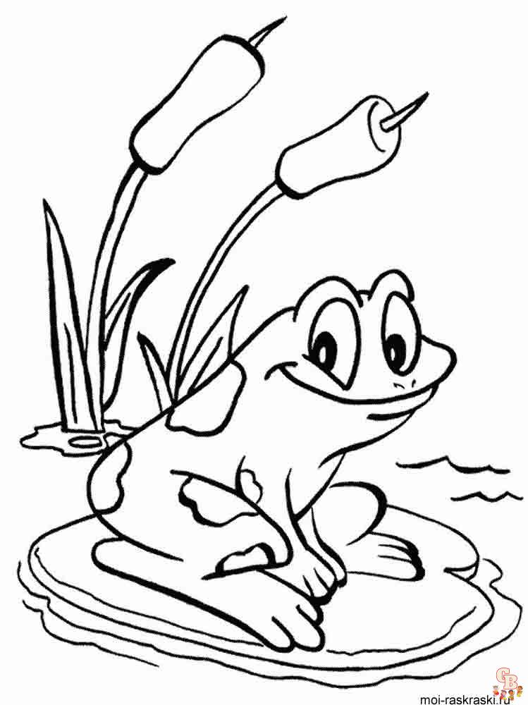 coloriage grenouilles