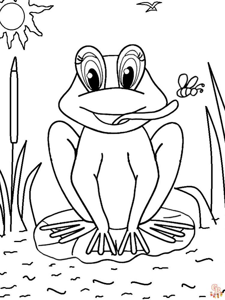 coloriage grenouilles