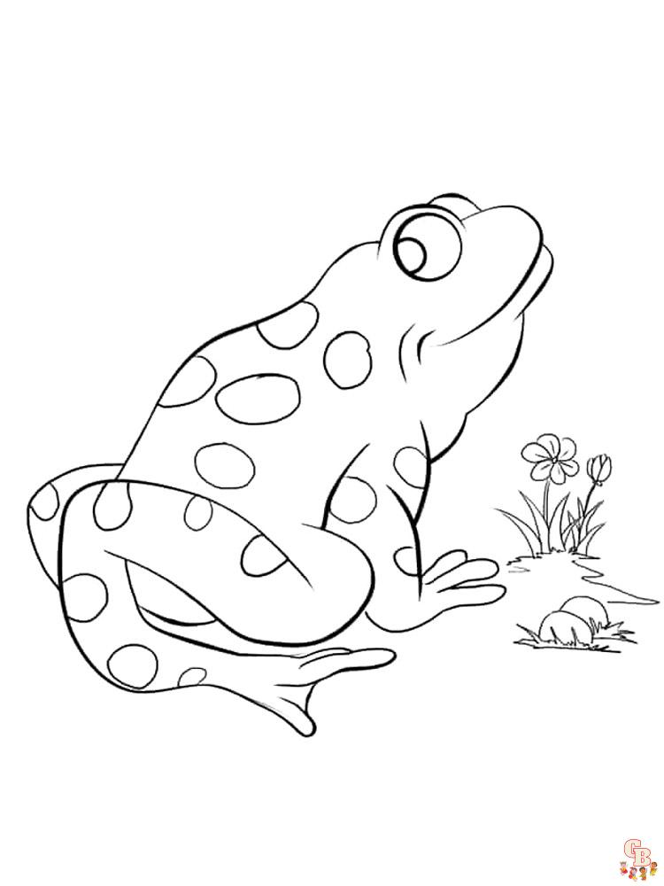 coloriage grenouilles