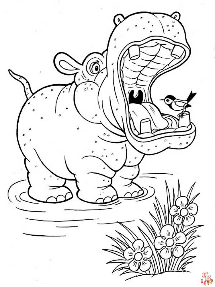 coloriage hippopotame