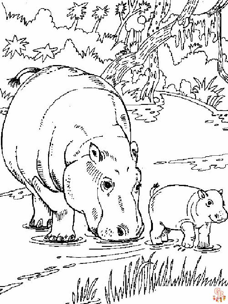 coloriage hippopotame