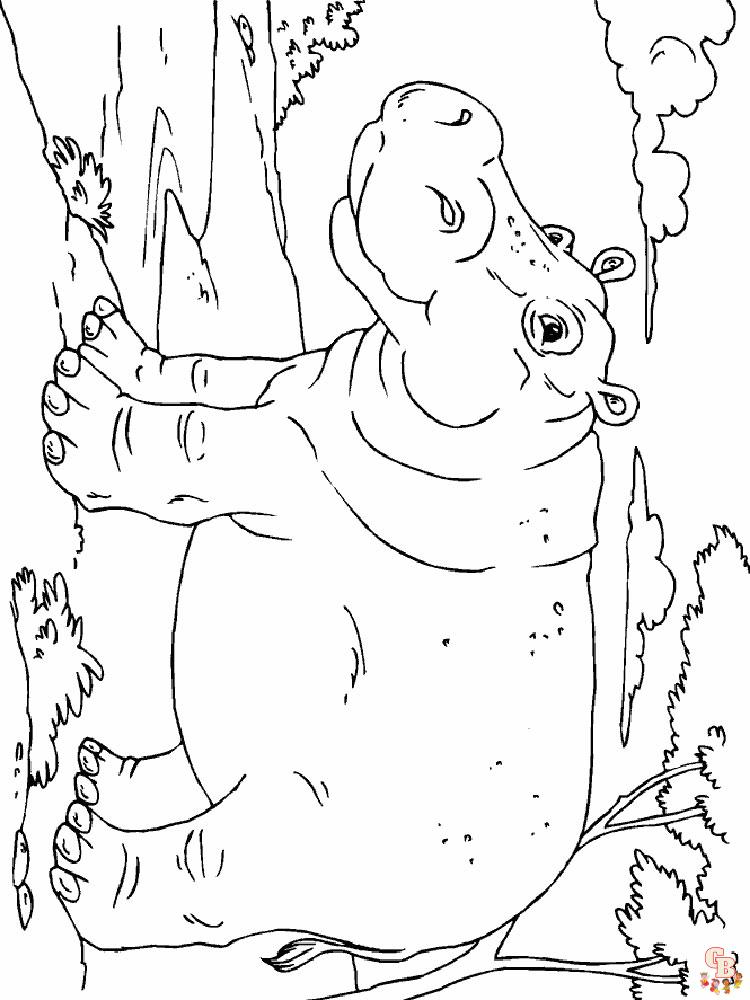 coloriage hippopotame